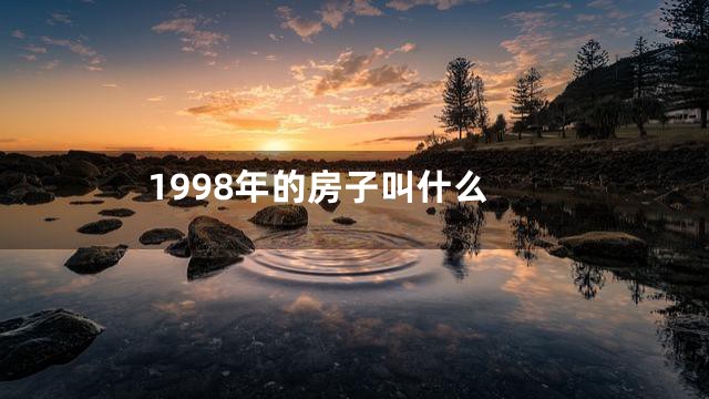 1998年的房子叫什么