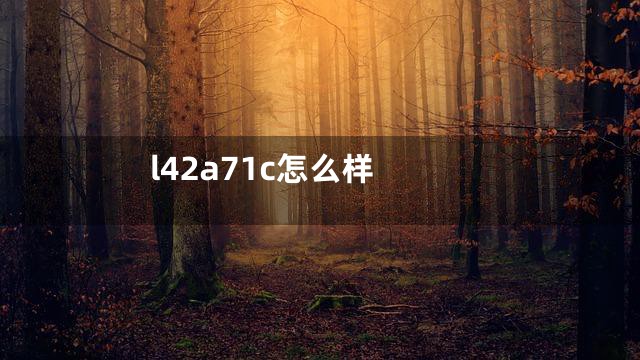 l42a71c怎么样