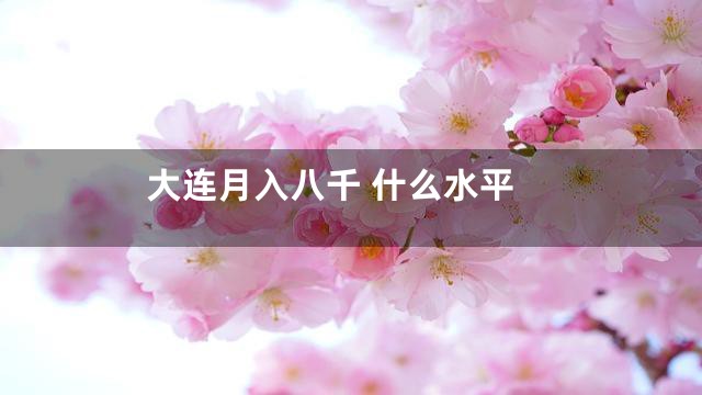 大连月入八千 什么水平