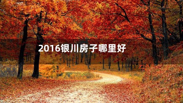 2016银川房子哪里好