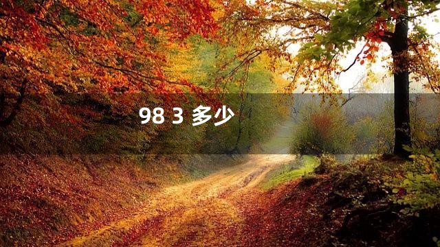 98 3 多少