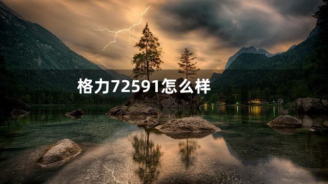 格力72591怎么样