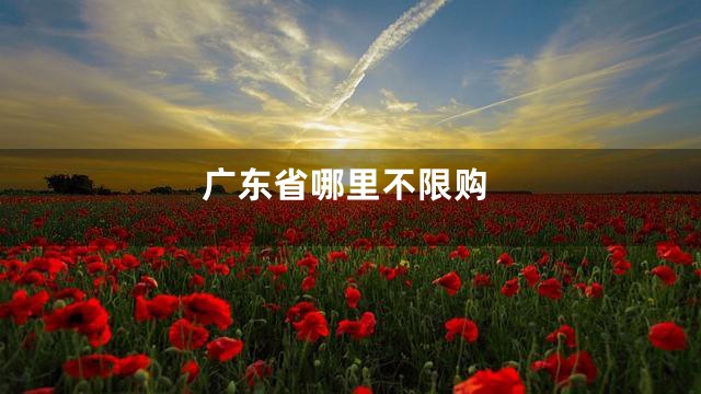 广东省哪里不限购