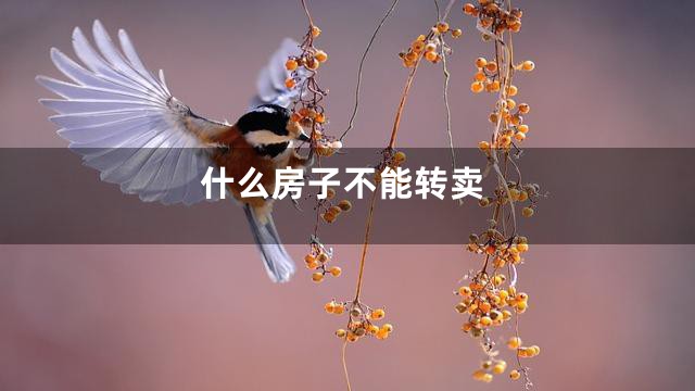 什么房子不能转卖