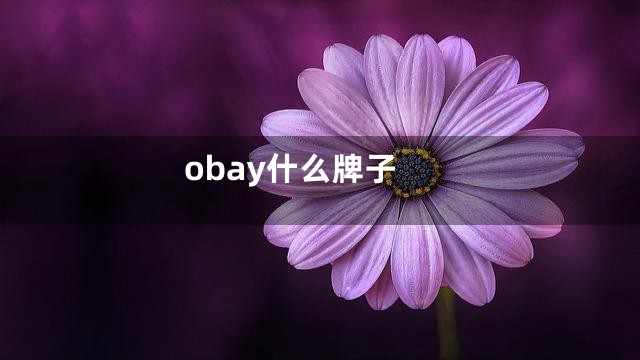obay什么牌子