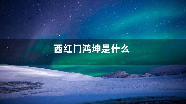 西红门鸿坤是什么