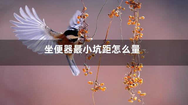 坐便器最小坑距怎么量