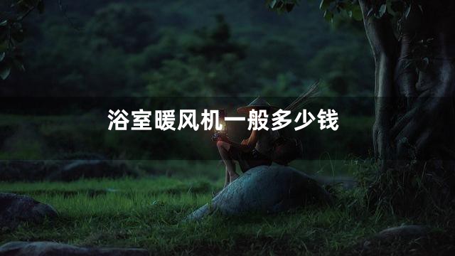 浴室暖风机一般多少钱