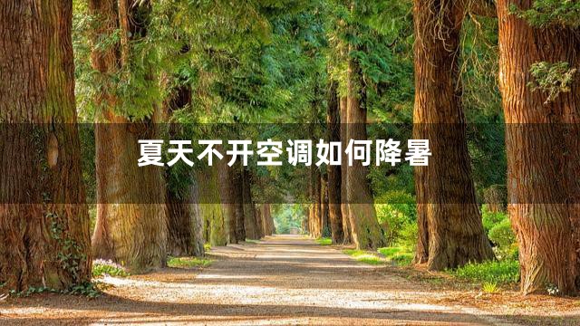 夏天不开空调如何降暑