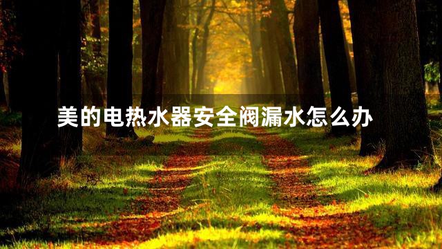 美的电热水器安全阀漏水怎么办