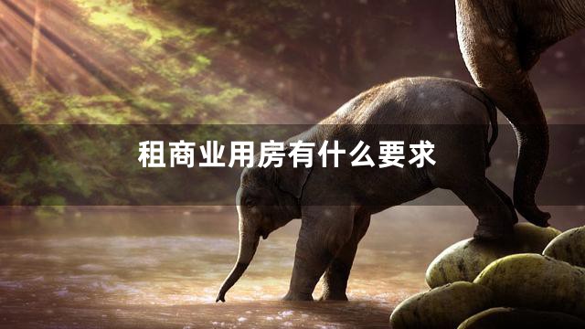 租商业用房有什么要求