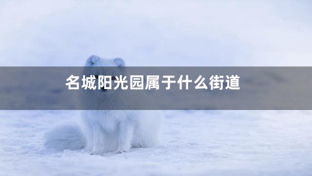 名城阳光园属于什么街道