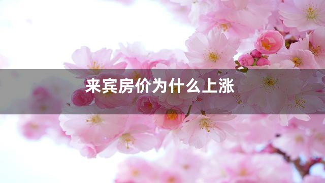 来宾房价为什么上涨