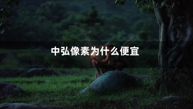 中弘像素为什么便宜