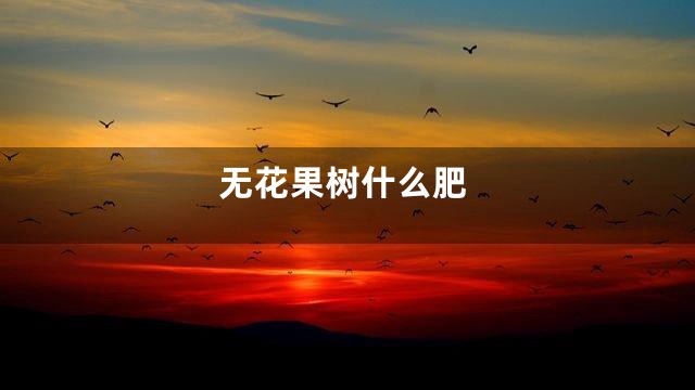 无花果树什么肥