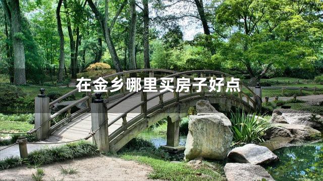 在金乡哪里买房子好点