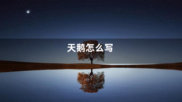 天鹅怎么写
