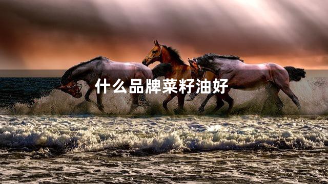 什么品牌菜籽油好