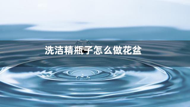 洗洁精瓶子怎么做花盆