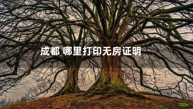 成都 哪里打印无房证明