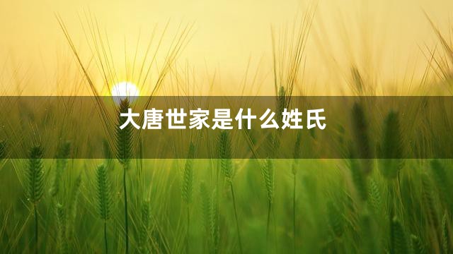 大唐世家是什么姓氏