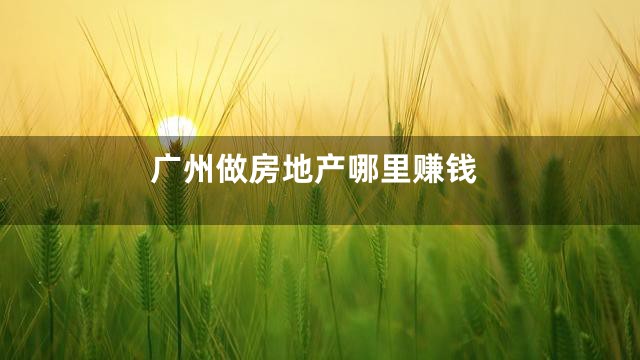 广州做房地产哪里赚钱