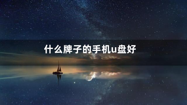 什么牌子的手机u盘好