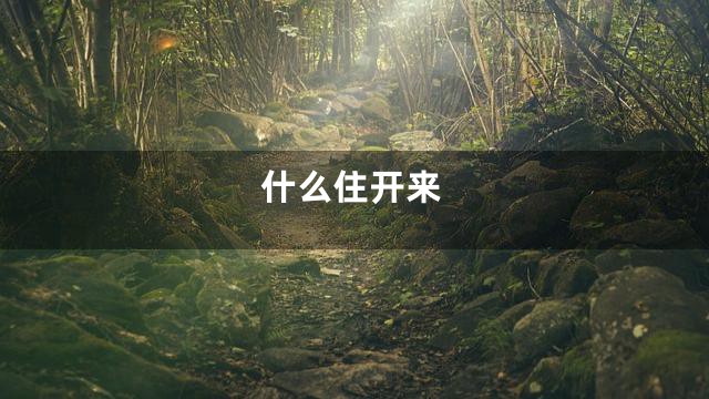 什么住开来