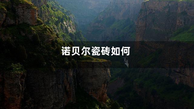 诺贝尔瓷砖如何