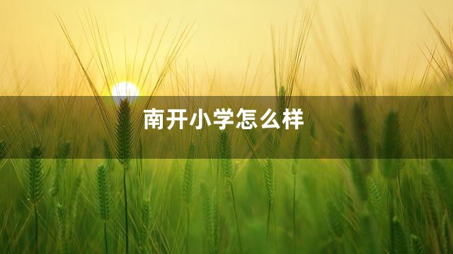 南开小学怎么样