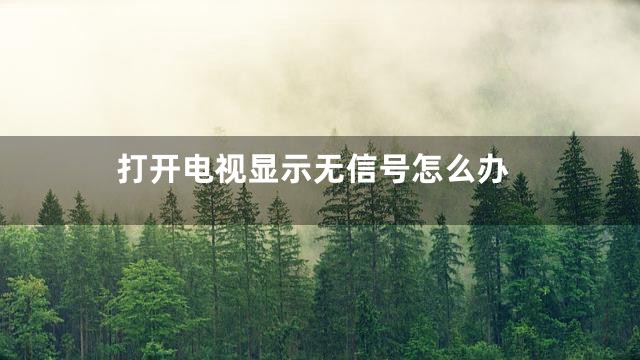 打开电视显示无信号怎么办