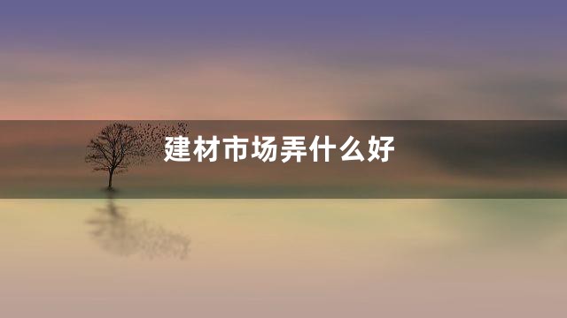 建材市场弄什么好