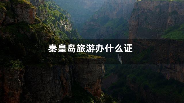 秦皇岛旅游办什么证