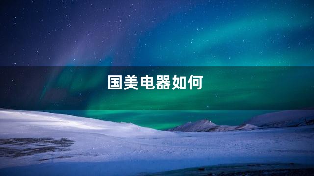 国美电器如何