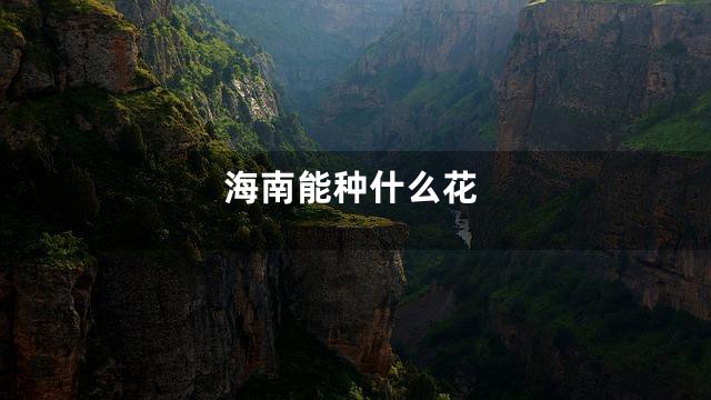 海南能种什么花