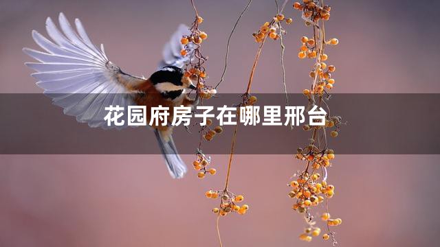 花园府房子在哪里邢台