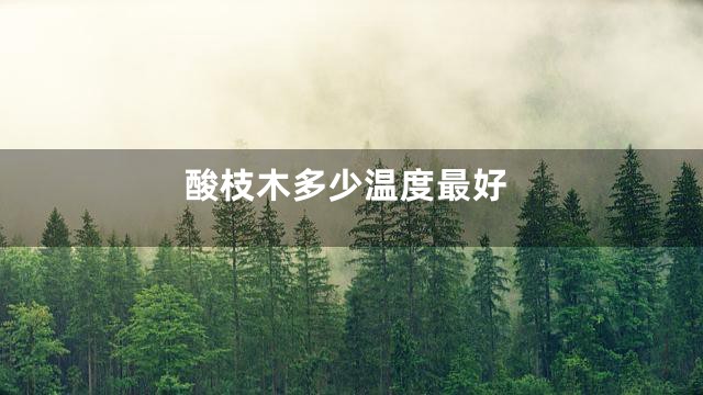 酸枝木多少温度最好