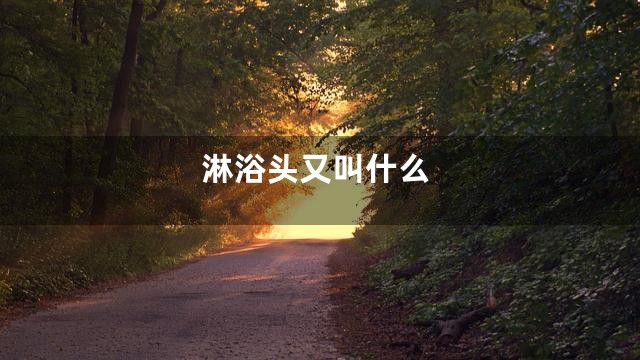 淋浴头又叫什么