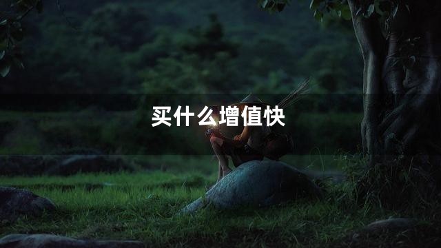 买什么增值快
