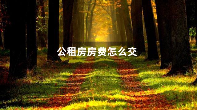 公租房房费怎么交