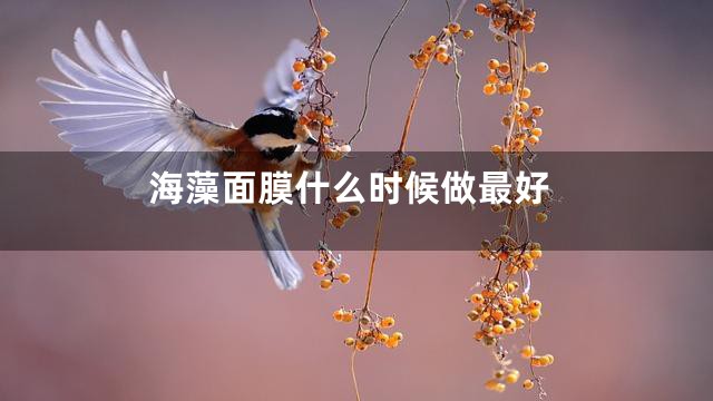 海藻面膜什么时候做最好