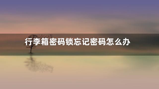 行李箱密码锁忘记密码怎么办