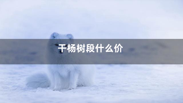 干杨树段什么价