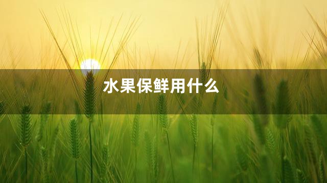 水果保鲜用什么