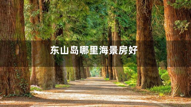 东山岛哪里海景房好