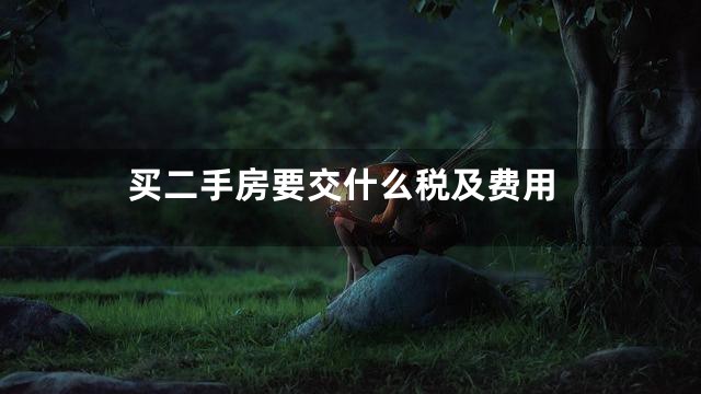买二手房要交什么税及费用