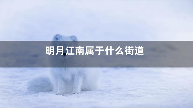 明月江南属于什么街道