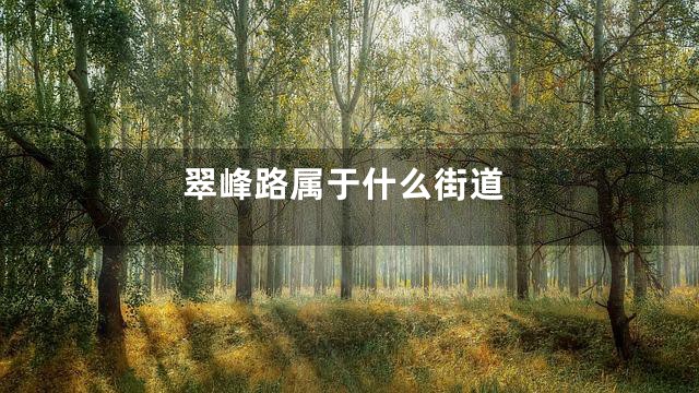 翠峰路属于什么街道