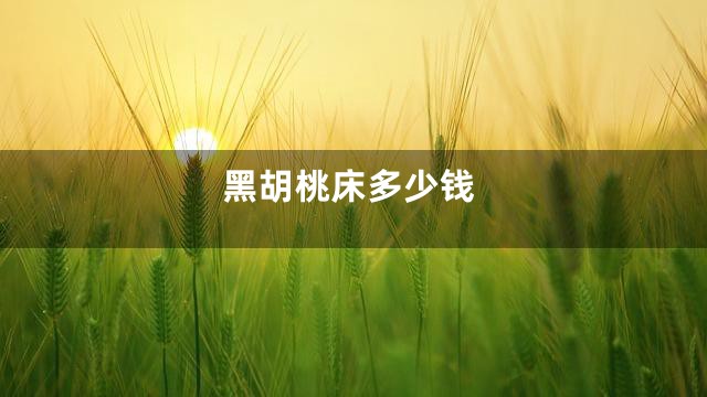 黑胡桃床多少钱