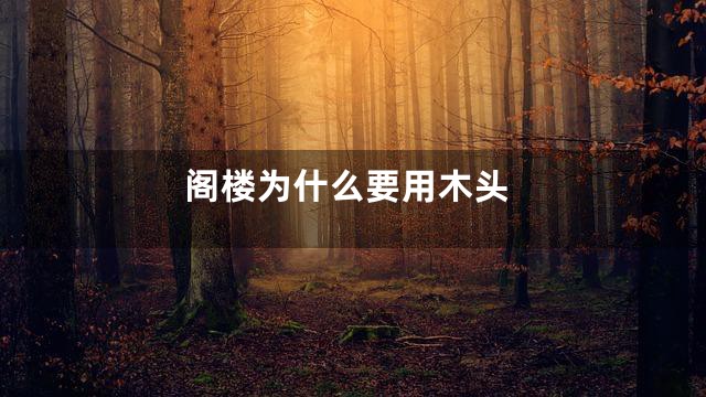 阁楼为什么要用木头